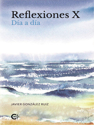 cover image of Reflexiones X